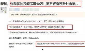 为什么视频没爆料过,为何视频从未揭露过这一惊人真相  第3张